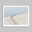 Mont Ventoux 02 - Art print - Michael Blann Supply