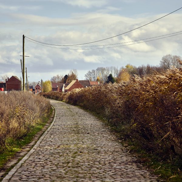 Roubaix 09 - Art Print - Michael Blann on Sale