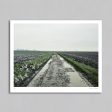 Roubaix 04 - Art Print - Michael Blann For Discount