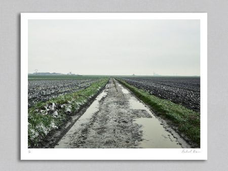 Roubaix 04 - Art Print - Michael Blann For Discount