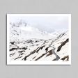 Passo Gavia 01 - Art print - Michael Blann Cheap