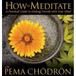 How to Meditate with Pema Chodron Online Hot Sale