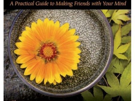 How to Meditate with Pema Chodron Online Hot Sale