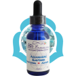 Thymus Chakra Essences: Aquamarine - Archangel Aquariel Fashion