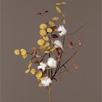 Decorative Branch of Cotton and Eucalyptus Online Hot Sale