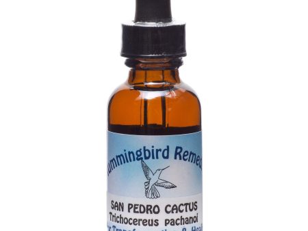 Ceremonial Vibrational Plant Essence: San Pedro Cactus For Sale