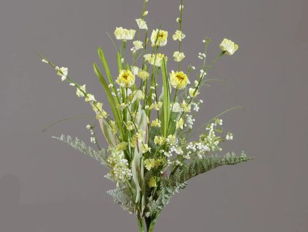 Stem - Daisy Spike Baby s Breath Sale