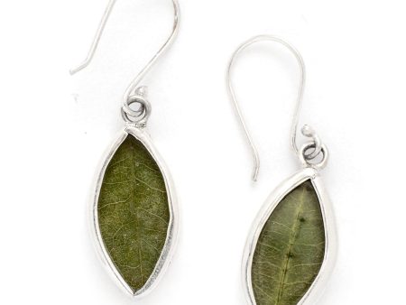 Peruvian Silver Coca Leaf Earrings For Discount