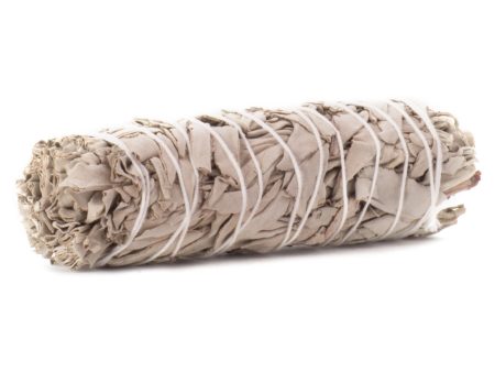 White Sage Smudge Stick - 5 in - BULK For Sale