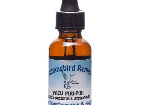 Ceremonial Vibrational Plant Essence:  Yacu Piri-Piri For Sale