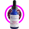 Zeal Point Chakra Essence: Rhodolite - Buddha Supply