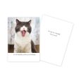 Choking Cat Funny Birthday Card Hot on Sale