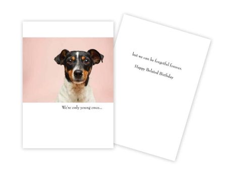 Dog Funny Birthday Card on Sale