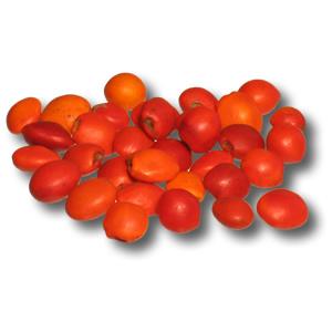 Huayruro Beads - Female For Discount