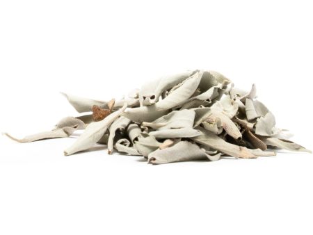 White Sage - Loose Clusters - BULK per pound Online