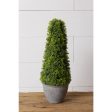 Topiary - Cement Pot For Sale