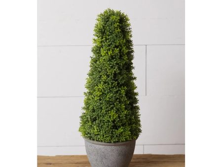 Topiary - Cement Pot For Sale