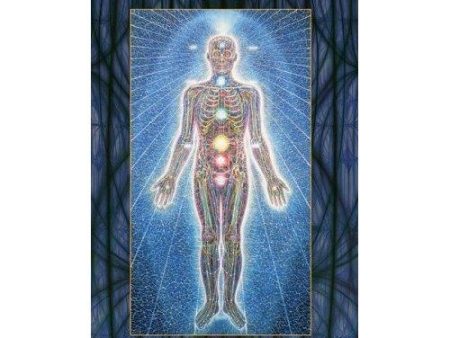 Sacred Mirrors Cards by Alex Grey Fashion