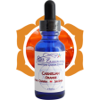 Sacral Chakra Essence: Carnelian - Shakti & Sai Baba Discount