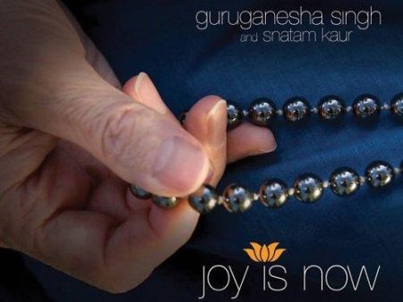 Guru Ganesha Singh: Joy Is Now Hot on Sale