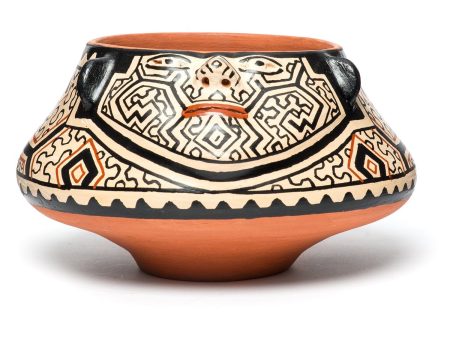 Shipibo Amazon Jungle Quempo Bowl Fashion