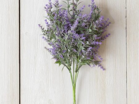 Pick - Lavender Online