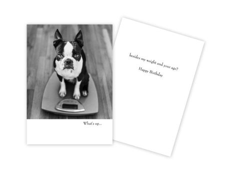 Dog on Scale Funny Birthday Card on Sale