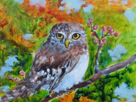 Autumn Owl by Karen Wolf (Framed Painting) Online