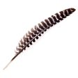 Turkey Feather For Cheap