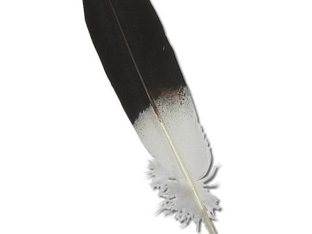 Feather - Imitation Bald Eagle - Wing For Cheap