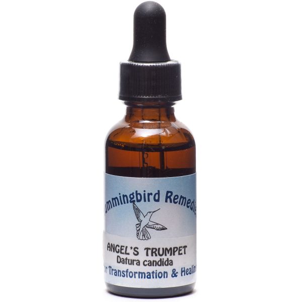 Ceremonial Vibrational Plant Essence: Angel s Trumpet For Sale