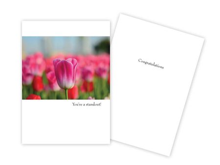 Tulip Floral Congratulations Card on Sale