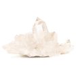 Clear Quartz Crystal Cluster Sale