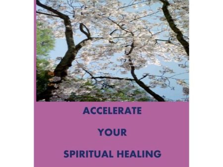 Accelerate Your Spiritual Healing by Robert G. Fritchie Sale