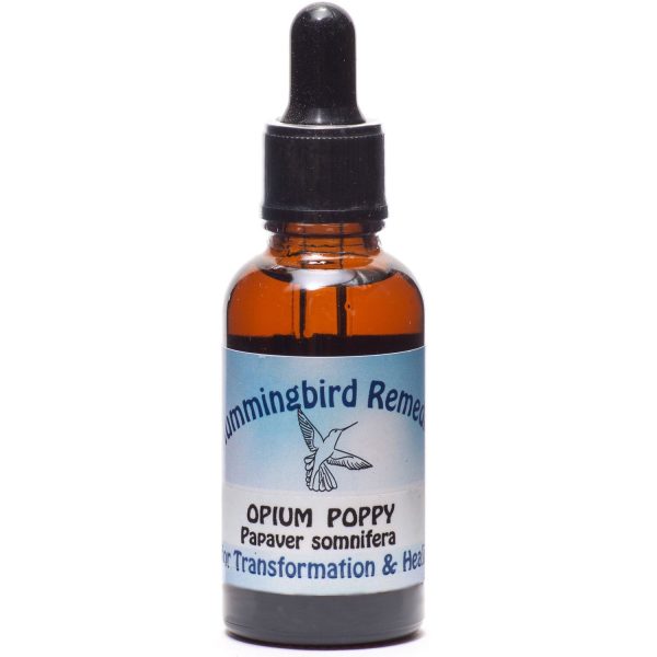 Ceremonial Vibrational Plant Essence: Opium Poppy Online now