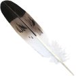 Feather - Imitation Golden Eagle Semi Mature - Tail Fashion