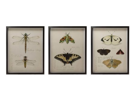 Wood Frame Wall Decor w  Insects, 3 Styles on Sale